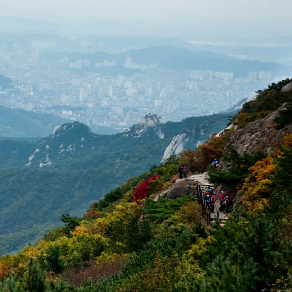 로열 로제센터 홈타이 대표 안내 이미지